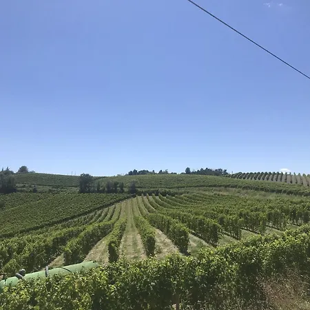 La Cascina Con Jacuzzi E Sauna By Halldis Villa