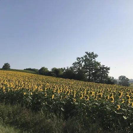 La Cascina Con Jacuzzi E Sauna By Halldis *