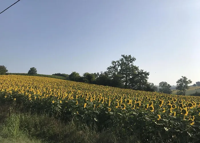 La Cascina Con Jacuzzi E Sauna By Halldis *